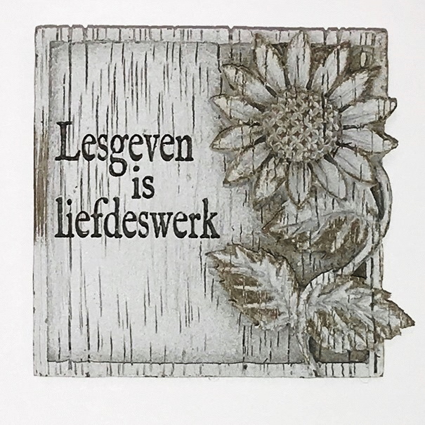 Lesgeven is liefdeswerk