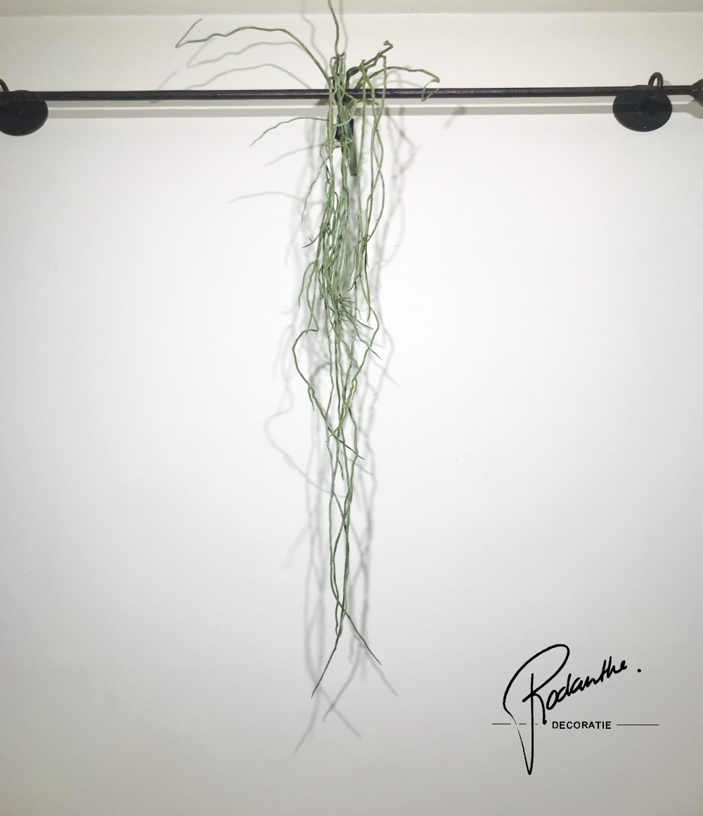 Kunstplant Root hair