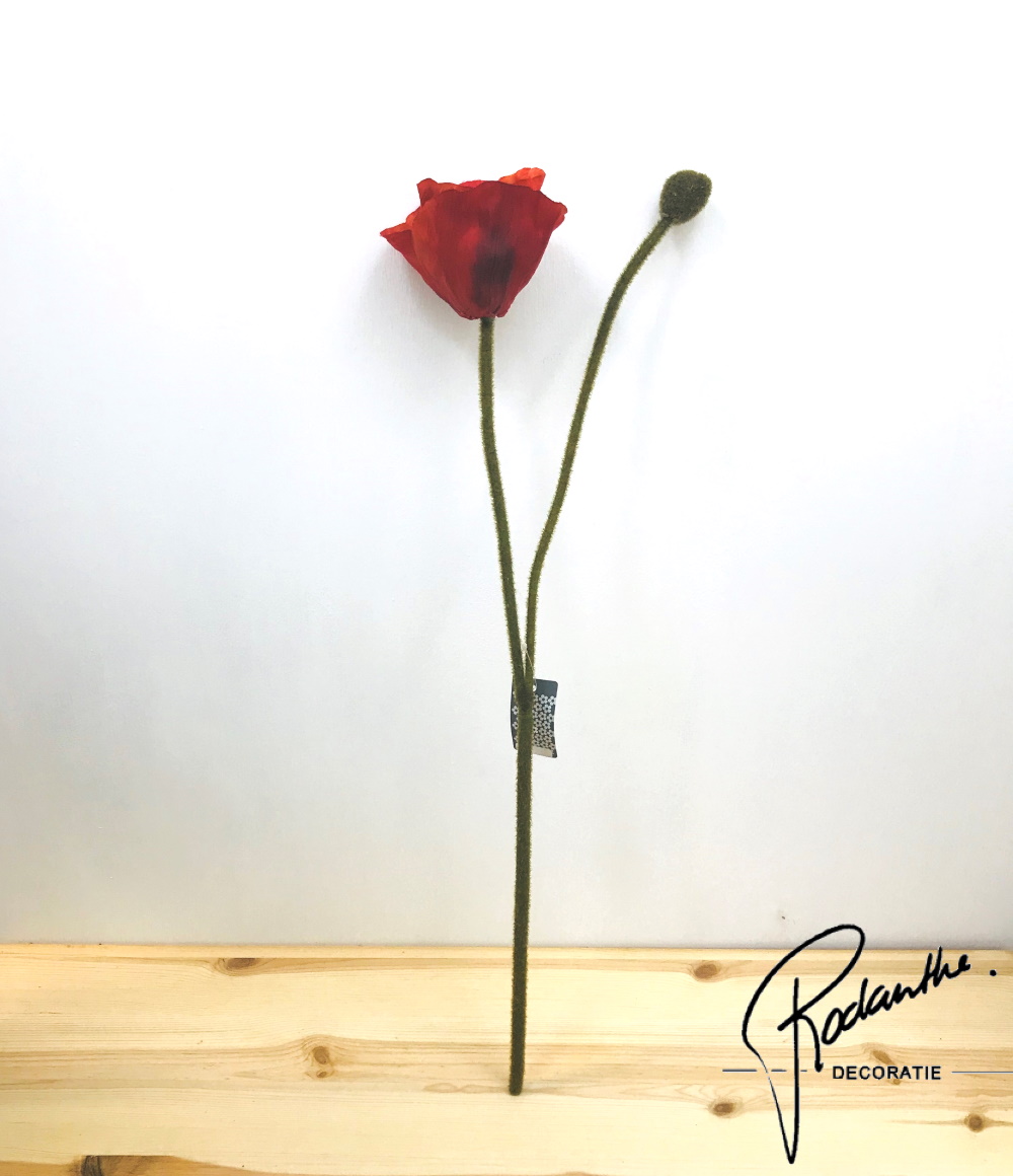 Papaver rood